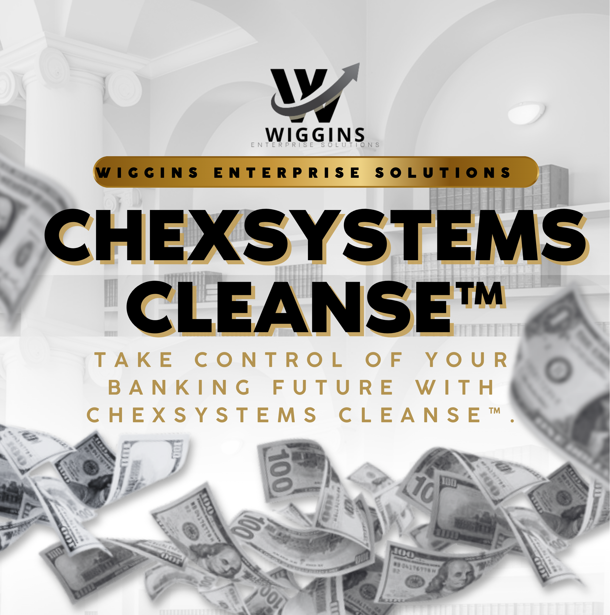 ChexSystems Cleanse™